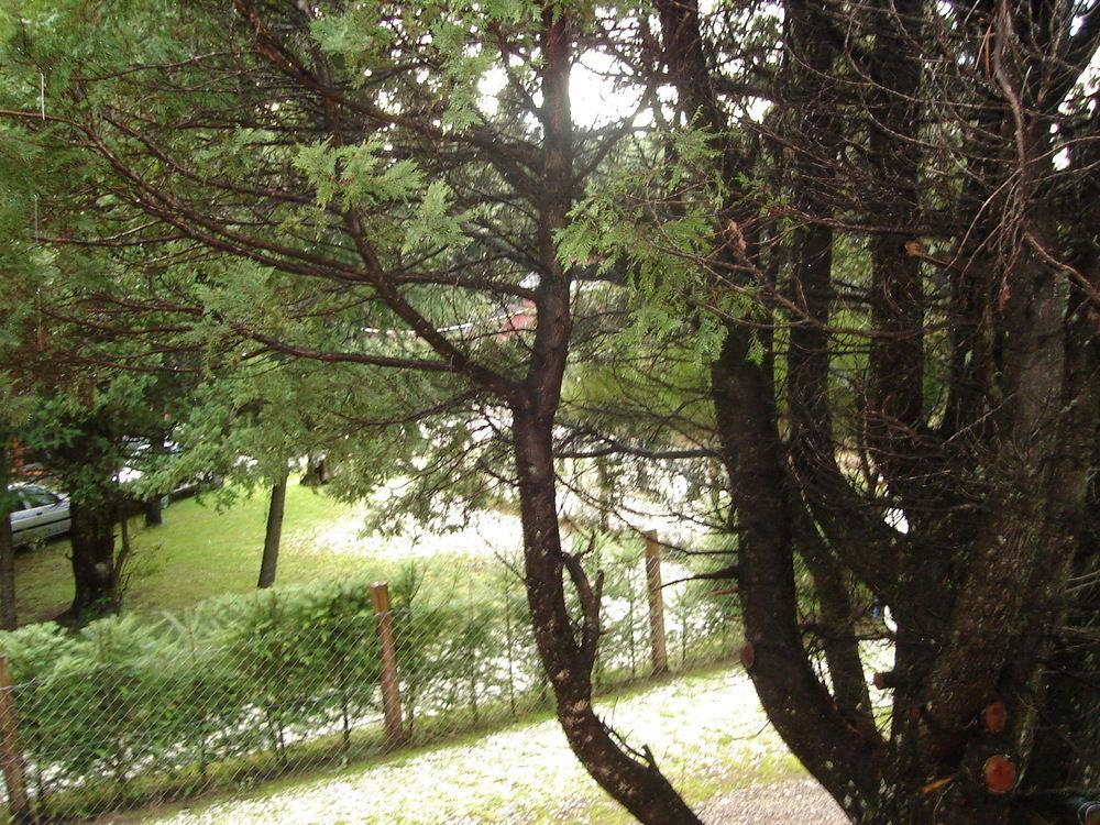 Villa Tinsel'S House à San Carlos de Bariloche Extérieur photo